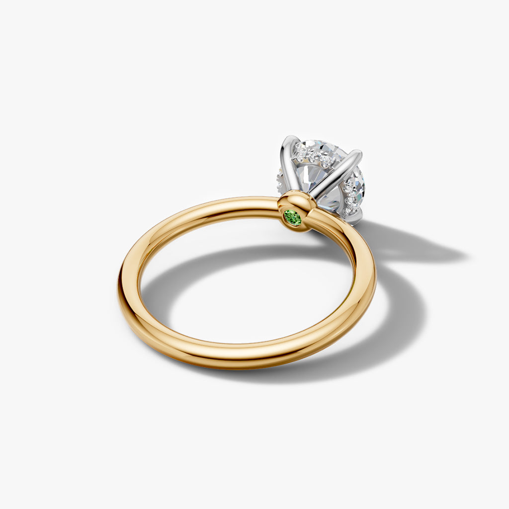 Hidden Halo Round Band Solitaire (Setting Only)